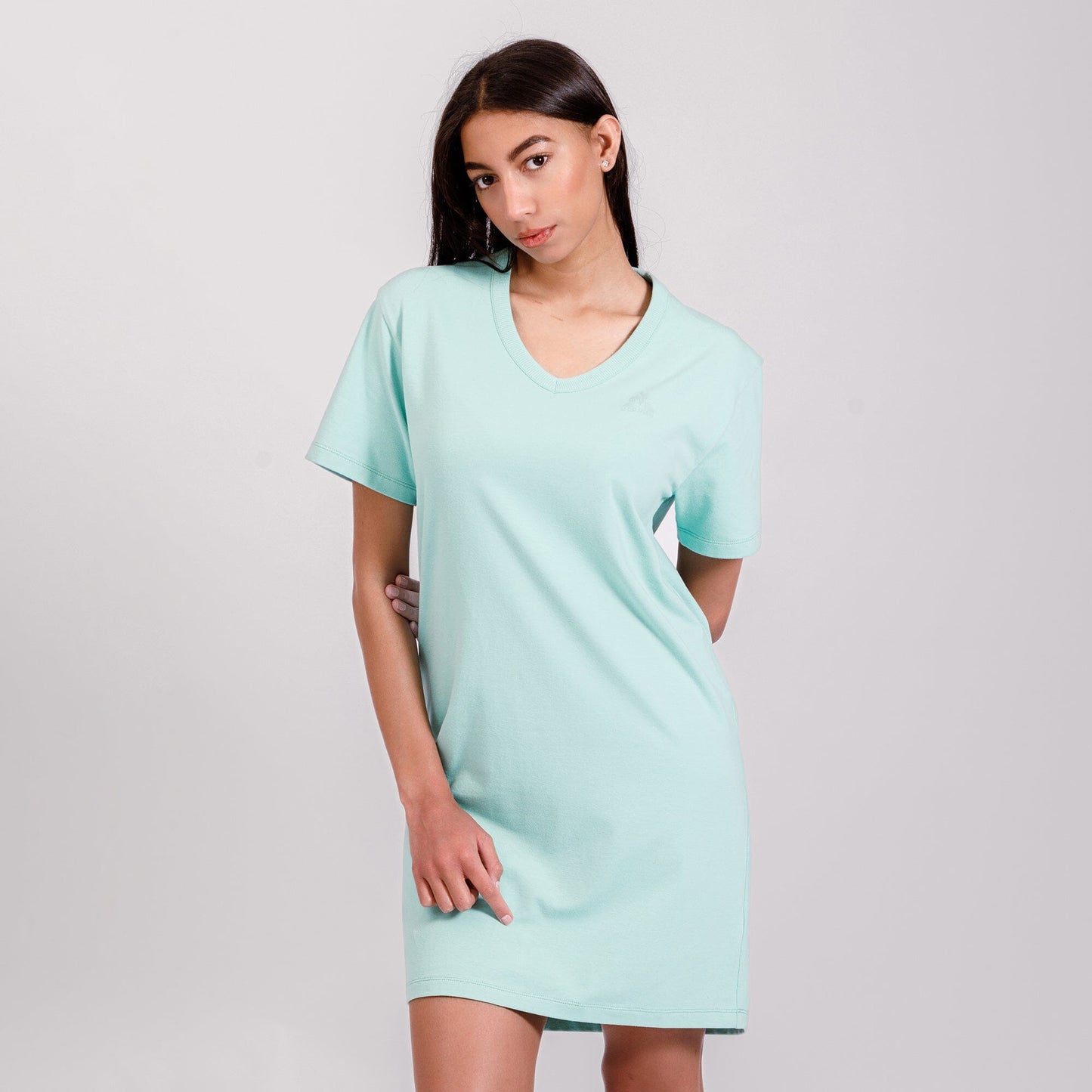 Essential Tone on Tone Shirt dress